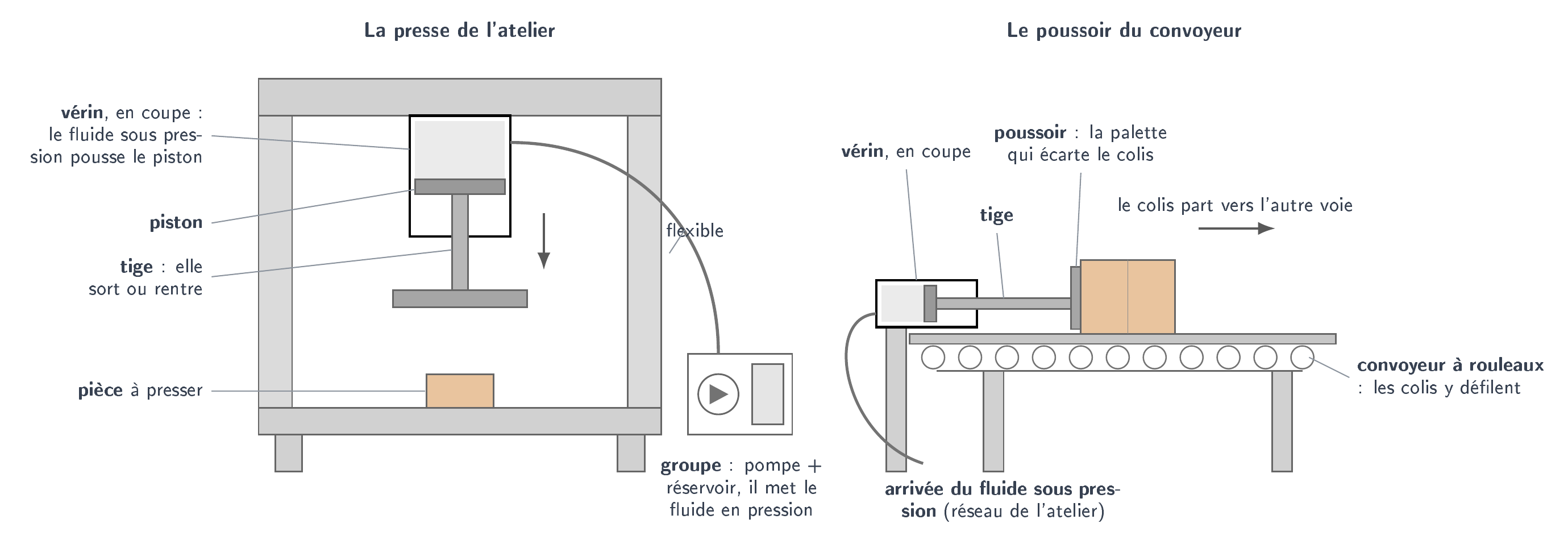 La presse de l'atelier et le poussoir de convoyeur, vérins en coupe