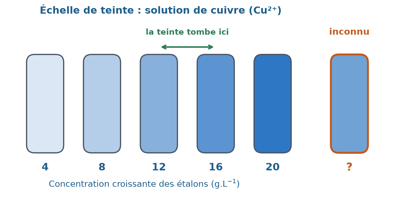 Échelle de teinte d'une solution de cuivre (Cu²⁺) : cinq étalons de 4 à 20 g.L⁻¹. La teinte de la solution inconnue se situe entre celles des étalons à 12 et 16 g.L⁻¹